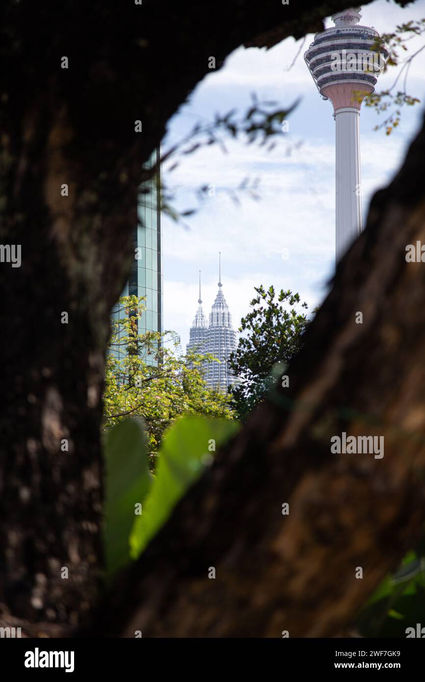 Baumstamm, der den Petronas Tower und den Menara Tower umrahmt Stockfoto