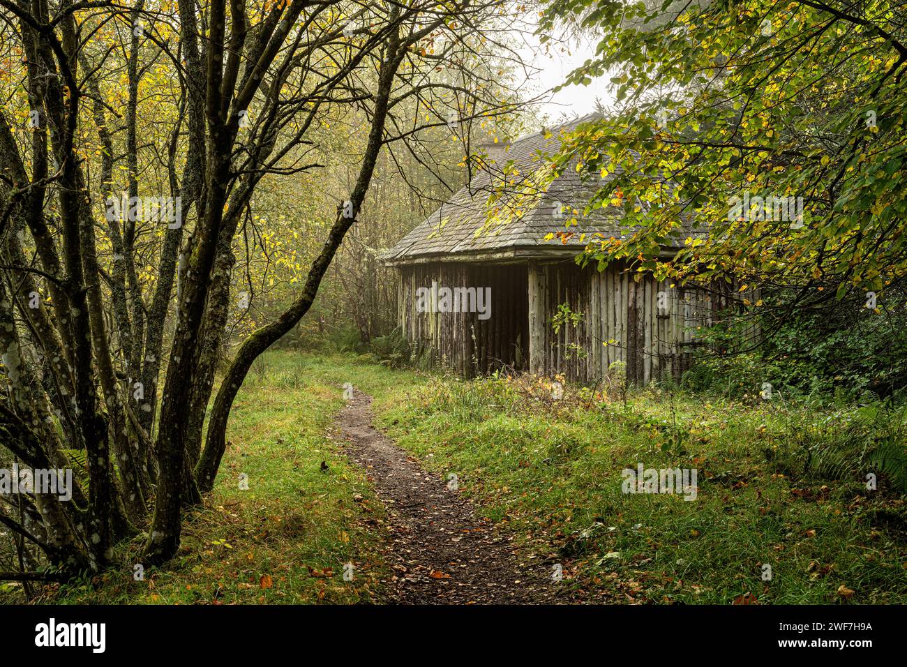 Eine verlassene Hütte am Ufer des Polney Loch in der Nähe von Dunkeld in Schottland Stockfoto