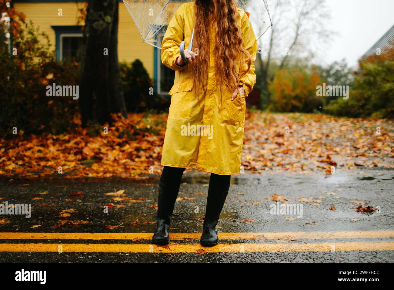 Gelbe Symphonie im Herbstregen Stockfoto