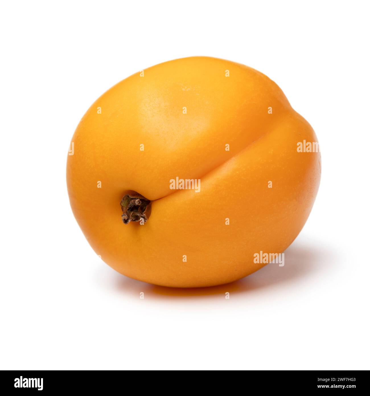 Einzelne frische reife gesunde Nektarcot-Frucht nah oben isoliert auf weißem Hintergrund Stockfoto