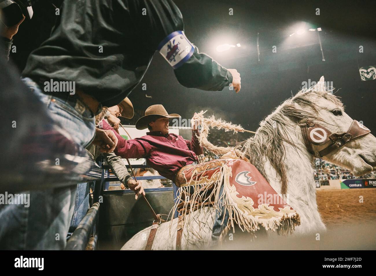 Cowboy, der an einem Rodeo teilnimmt Stockfoto