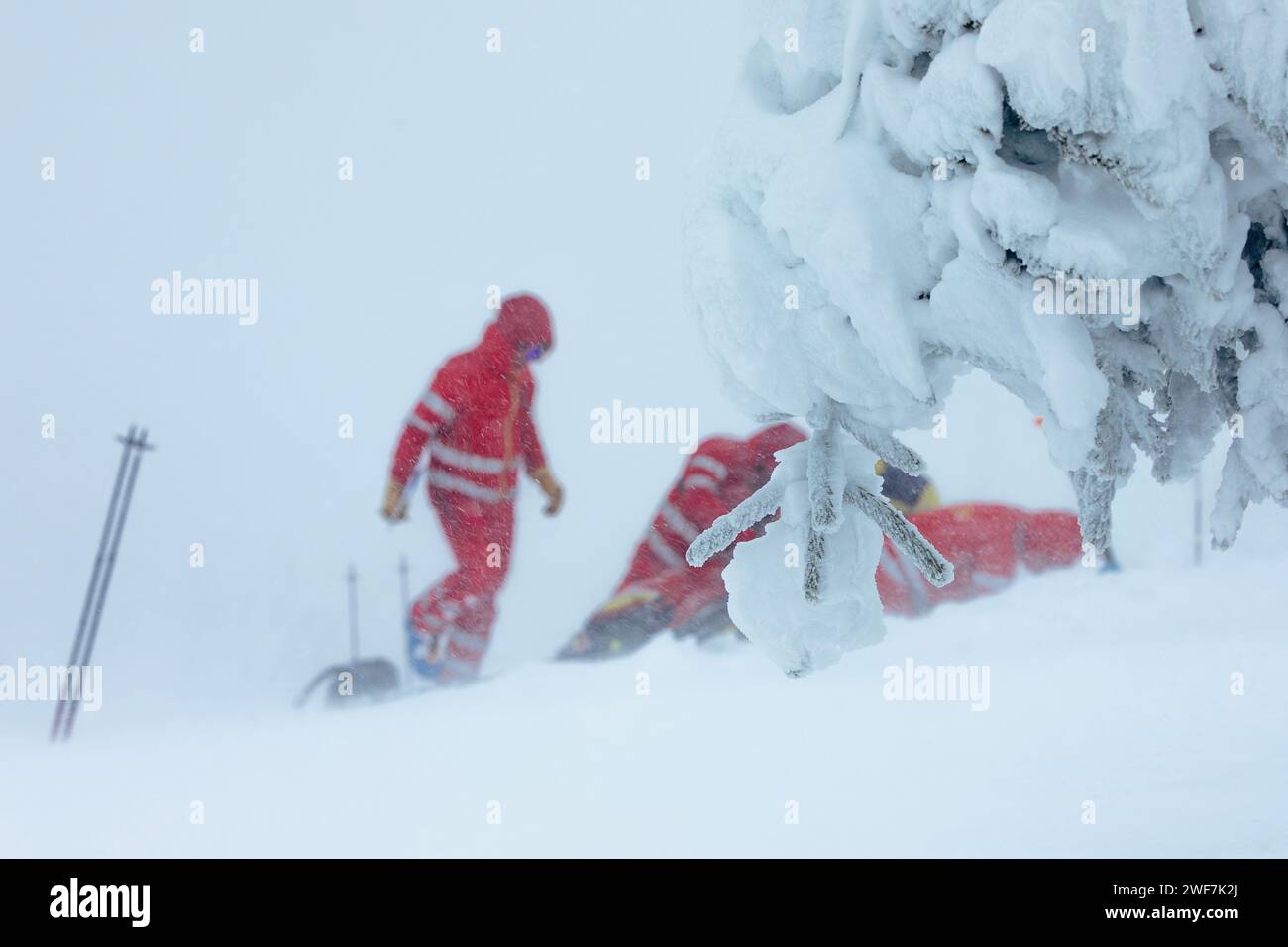 Sanitäter-Team des Rettungsdienstes, das im Winter während des Schneesturms in den Bergen hilft. Selektiver Fokus auf verschneiten Bäumen. Themen retten bei extremen Wetterbedingungen. Stockfoto