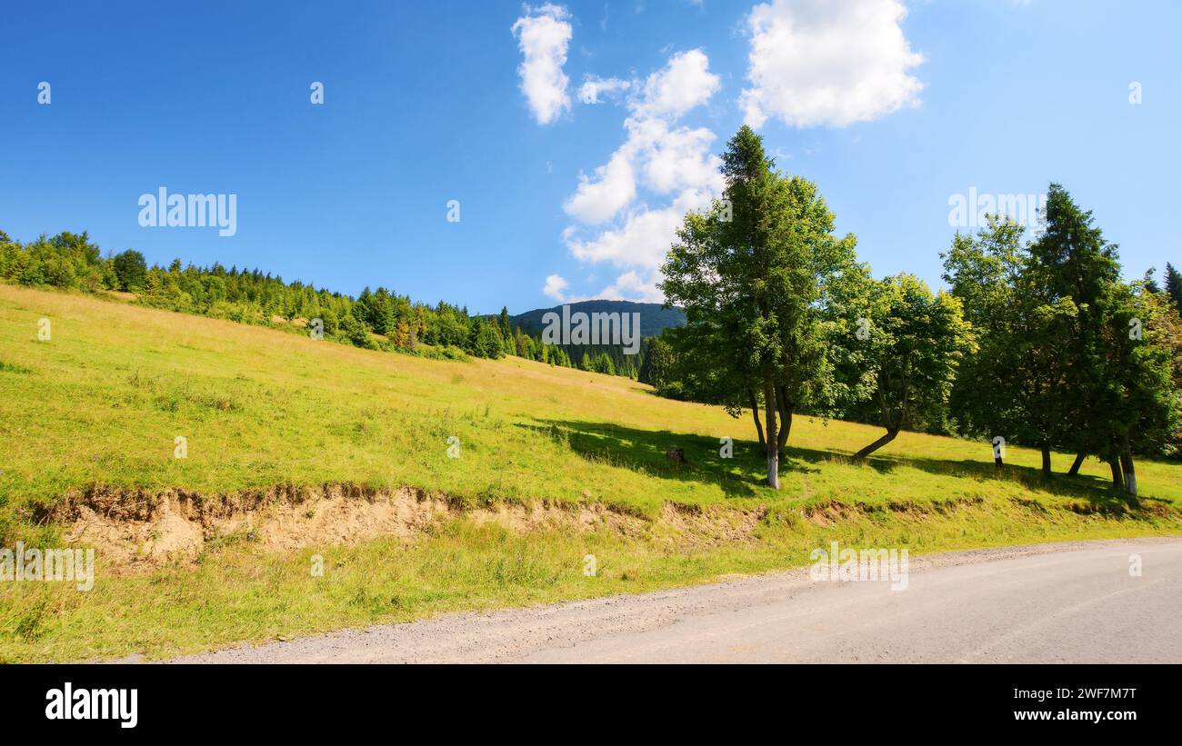 Straße durch die malerische karpaten Landschaft. Ruhige Landschaft des ukrainischen Hochlands Stockfoto