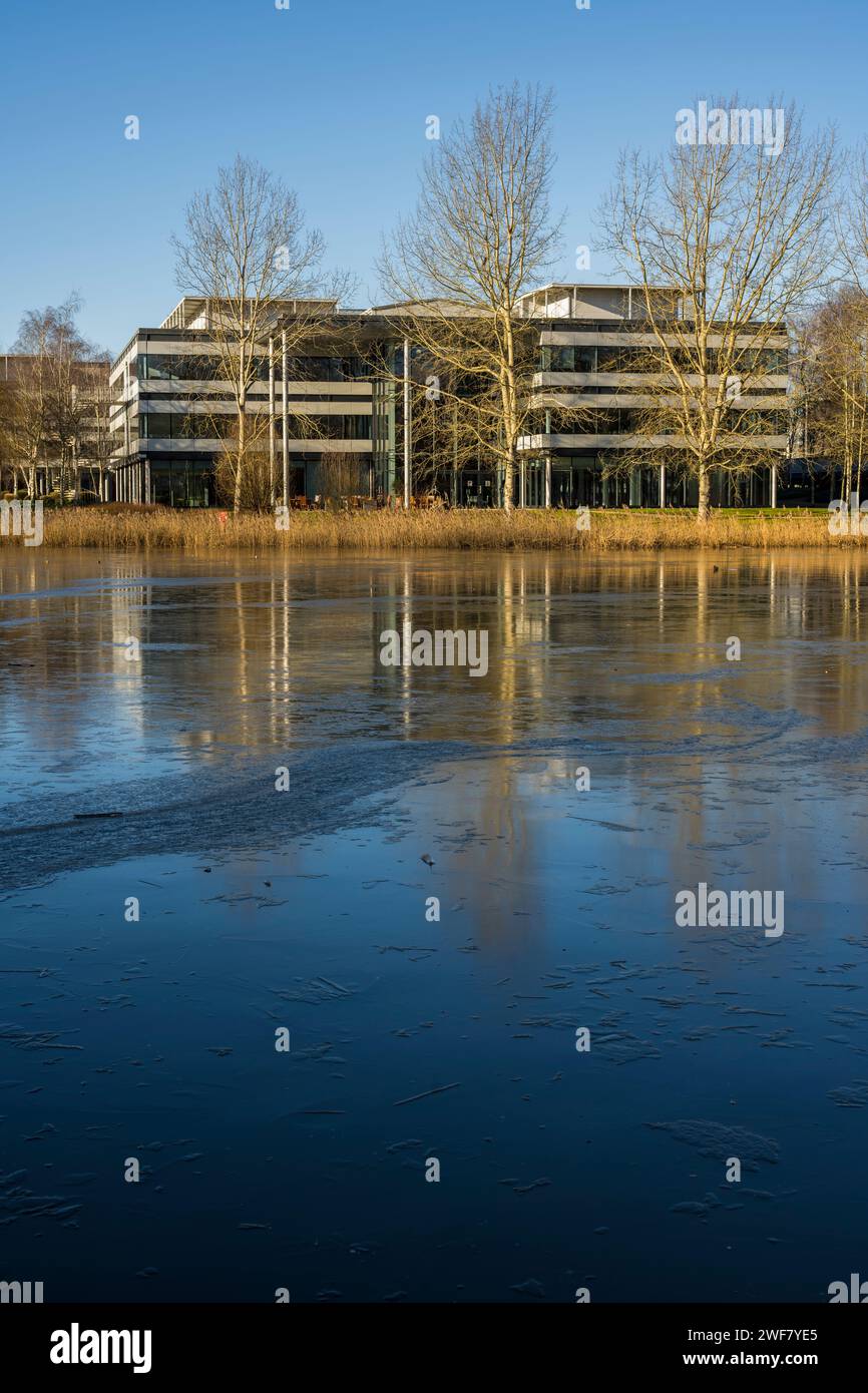 Frozen Lake, Winterlandschaft im Green Park, Business Park, Reading, Berkshire, England, GROSSBRITANNIEN, GB. Stockfoto
