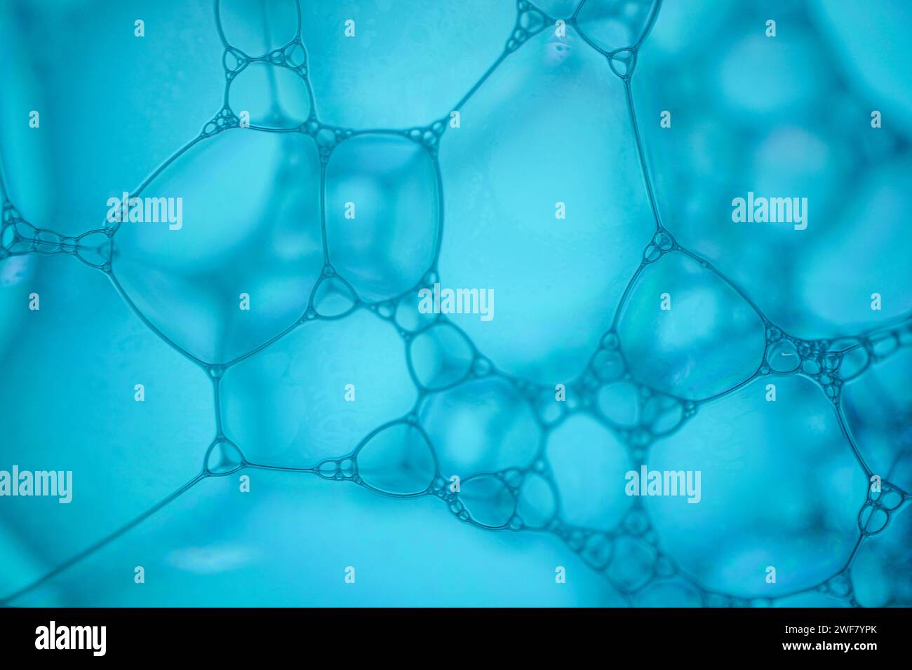 Blaue Seifenblasen, blauer abstrakter Hintergrund Stockfoto