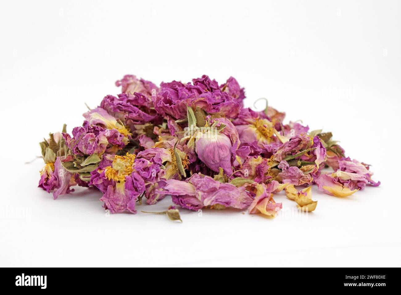 Studio-Aufnahme von trockenem Rosenblütentee auf weißem Hintergrund. Selektiver Fokus. Stockfoto