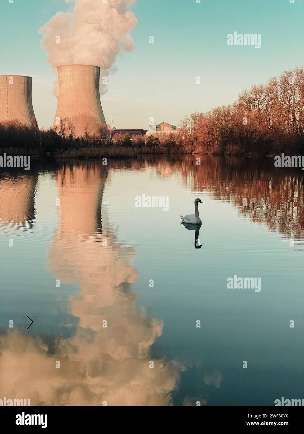 Täuschende Idylle am Meer mit einem Schwan vor dem Kernkraftwerk in den französischen Gemeinden Cruas und Meysse Stockfoto