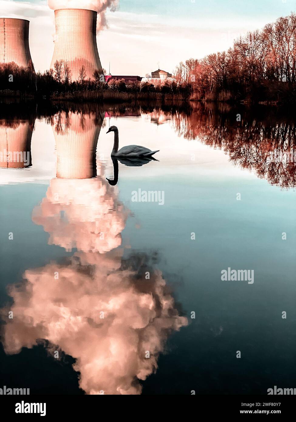 Täuschende Idylle am Meer mit einem Schwan vor dem Kernkraftwerk in den französischen Gemeinden Cruas und Meysse Stockfoto