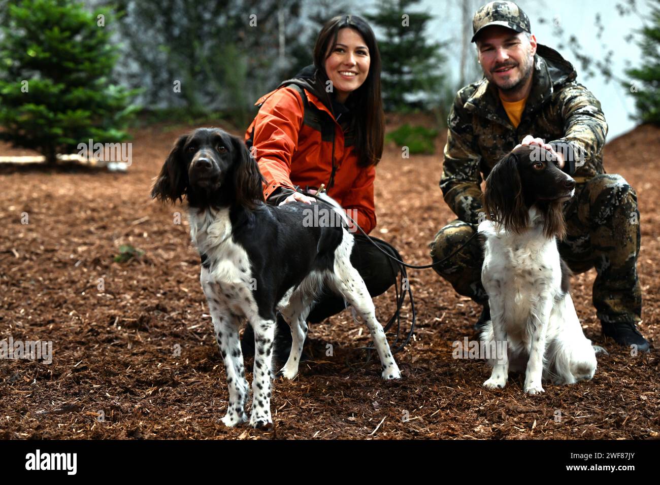 Modelle Von Jagdhunden Fotos Und Bildmaterial In Hoher Aufl sung Alamy modelle-von-jagdhunden-fotos-und-bildmaterial-in-hoher-aufl-sung-alamy