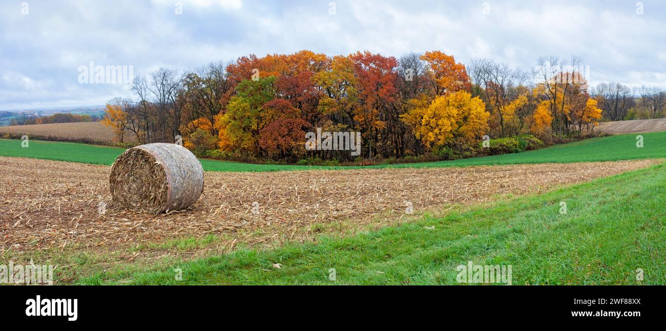 An einem bewölkten Tag sitzt ein einzelner Heuballen auf einem hügeligen Feld. Bunte Herbstbäume sind von den gepflügten Feldern umgeben. Stockfoto