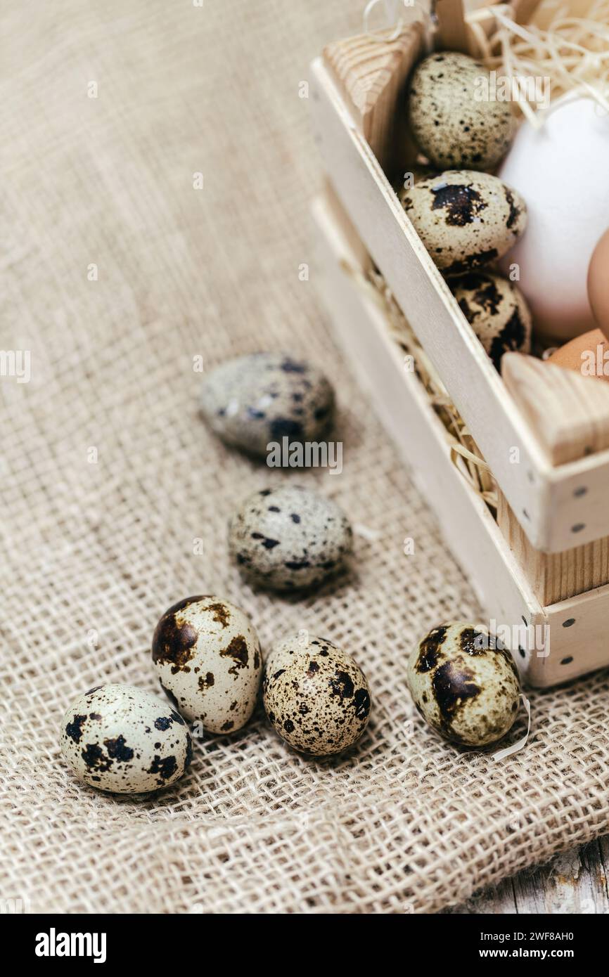 Wachteleier verstreut und in eine kleine Holzkiste auf einer Oberfläche aus Sackleinen-Stoff gelegt, was eine rustikale und natürliche Atmosphäre erzeugt. Stockfoto