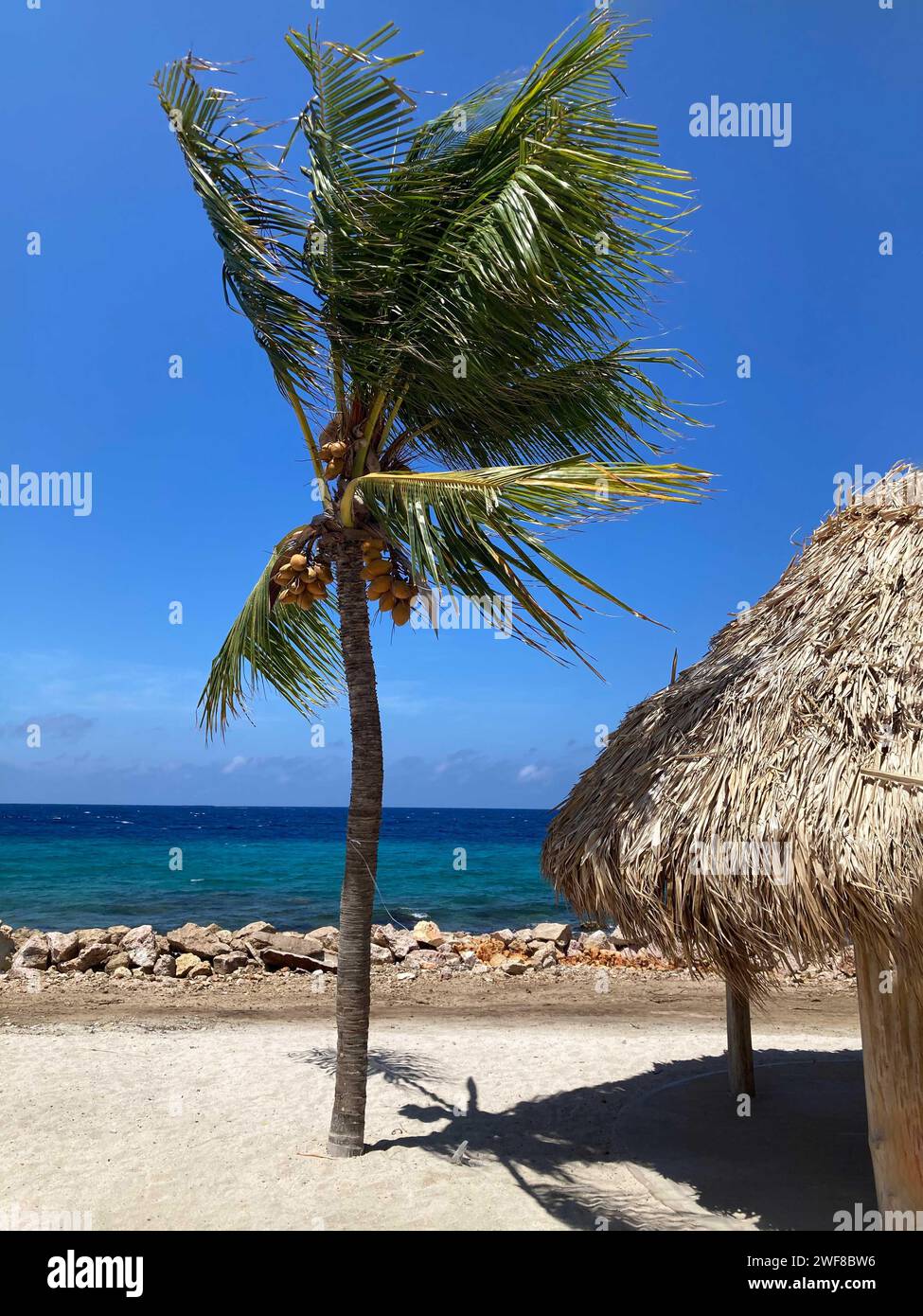 Überdachte Strohdächer im öffentlichen Picknickbereich, Curacao Stockfoto