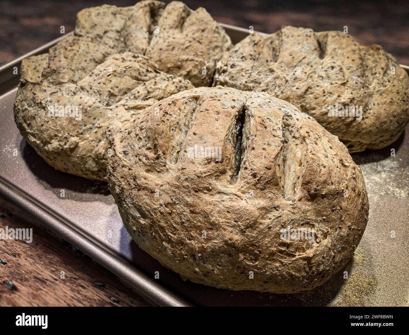 Vier Laibe frisch gebackenes, hausgemachtes Brot, USA Stockfoto