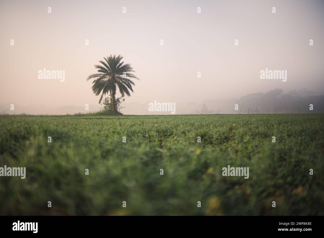 Schönste Aussicht auf die ländliche Gegend in Bangladesch. Es ist ein Blick auf die ländlichen Nebenbereiche. Stockfoto