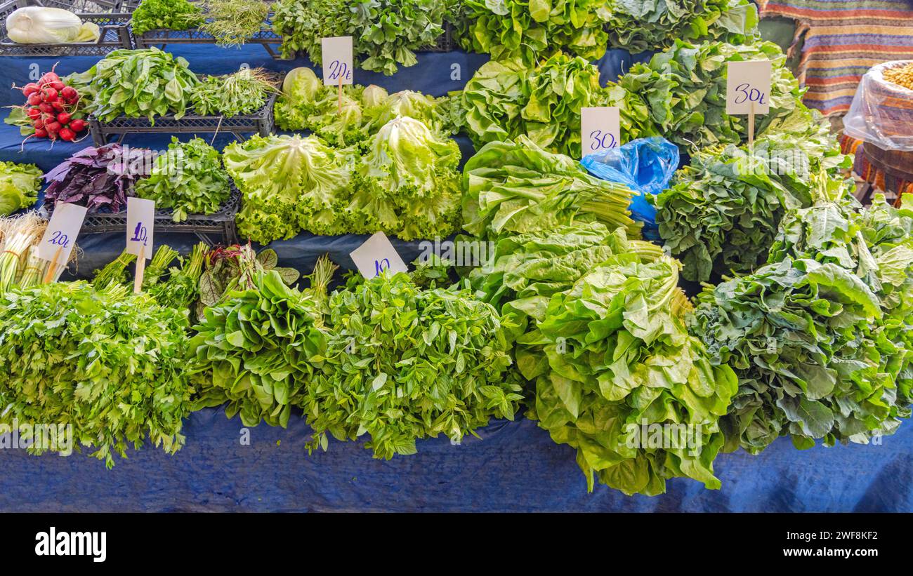 Frischer Minze Pastinakensalat Salat Chard Blattgemüse auf dem Farmers Market Stockfoto