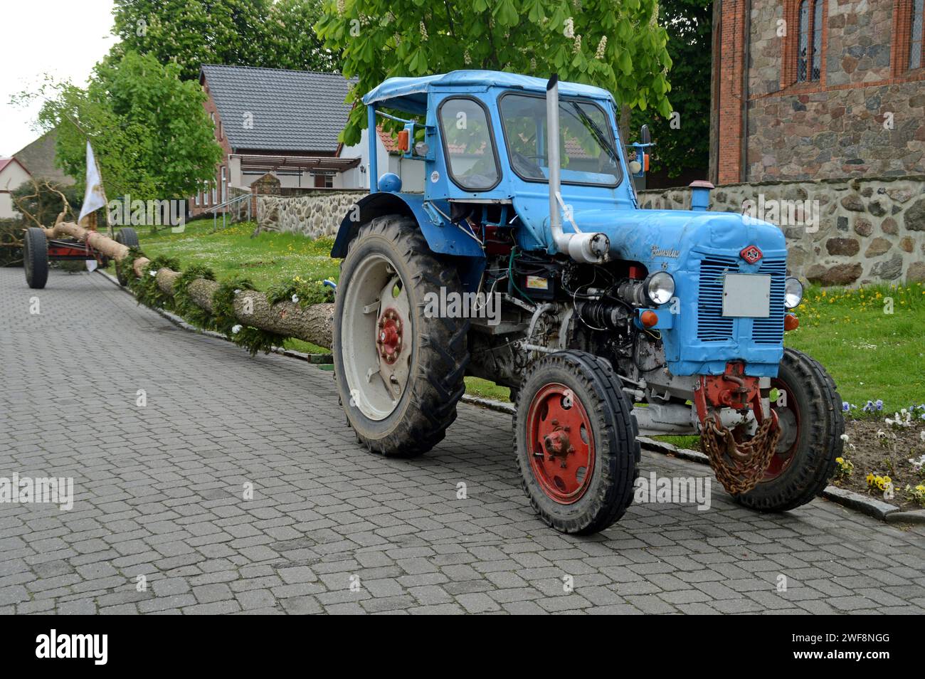 09.05.2015 Famulus RS14/46 Deutschland/Sachsen Anhalt/Altmark/Altmarkkreis Salzwedel/Stadt Klötze/ Ortsteil Immekath/ vor der Gaststätte/ vor der Kirche/ Traktor Famulus 46/ Farbe hellblau/ Trecker mit Nachläufer auf dem ein frisch gefällter Baum liegt/ Hochzeitsgesellschaft macht Pause beim Wiegenbaum, Wiegenfüße holen/altmärkisches Brauchtum/altmärkische Bräuche/Tradition/ ***Nutzung nur redaktionell*** *** 09 05 2015 Famulus RS14 46 Deutschland Sachsen Anhalt Altmark Altmarkkreis Salzwedel Stadt Klötze Stadtteil Immekath vor dem Restaurant vor dem Kirchentraktor Famulus 46 Stockfoto