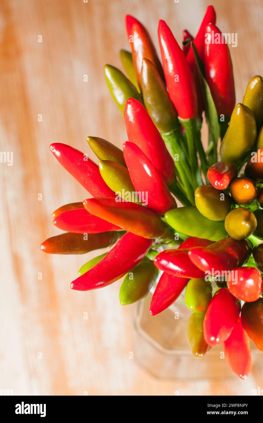 Ein Haufen kleiner Chilischoten Stockfoto