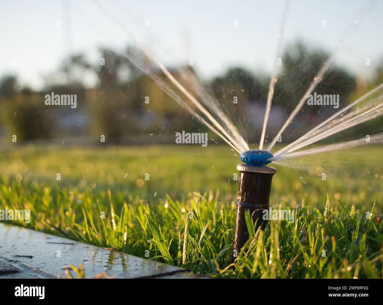 Automatische Sprinkleranlage zur Bewässerung des Rasens Nahaufnahme Stockfoto