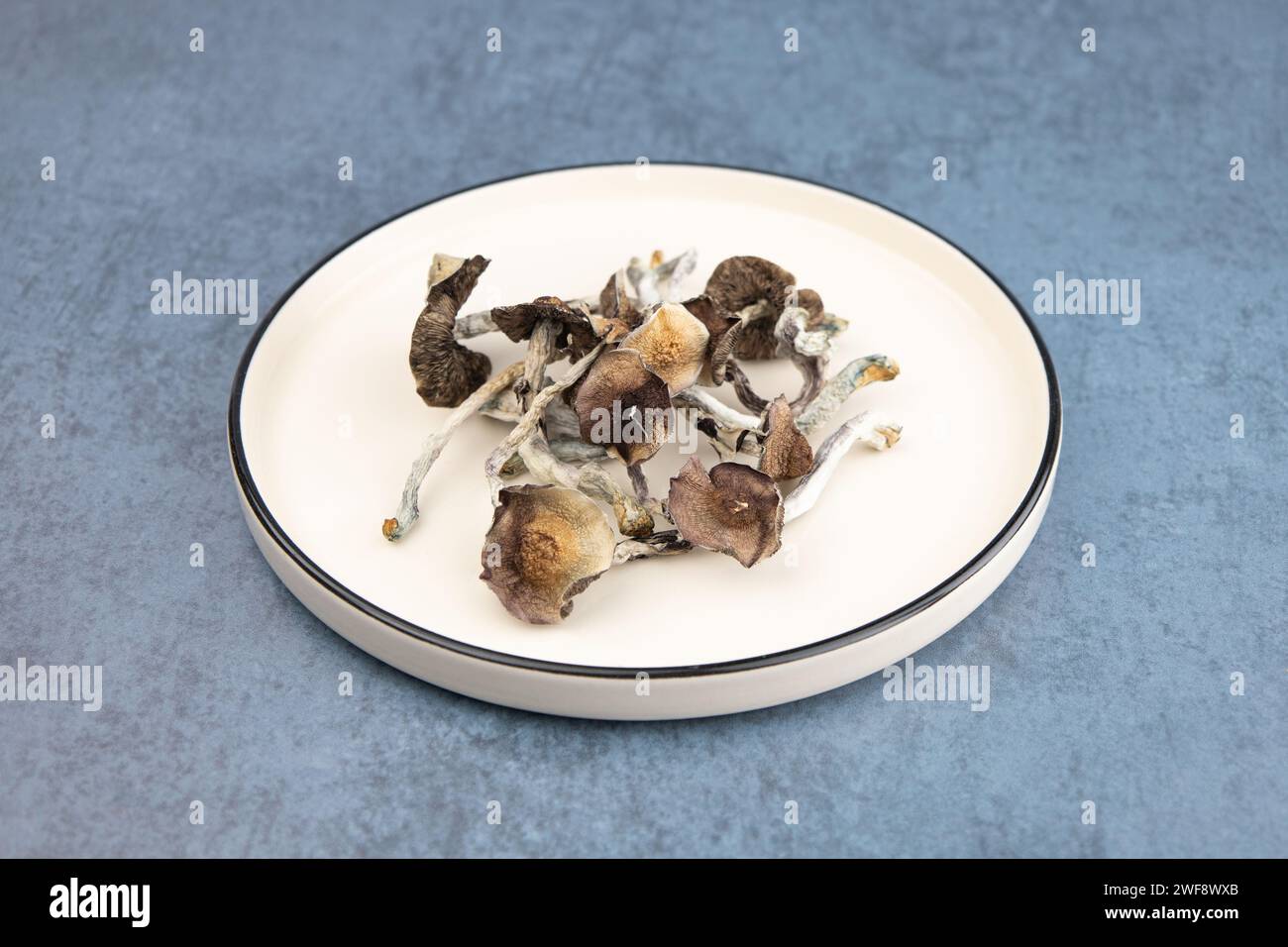 Einige getrocknete Pilze der Art Psilocybe cubensis Argentina liegen auf einer beigen Platte. Auf grauem Hintergrund. Alternative Medizin, Behandlung Stockfoto