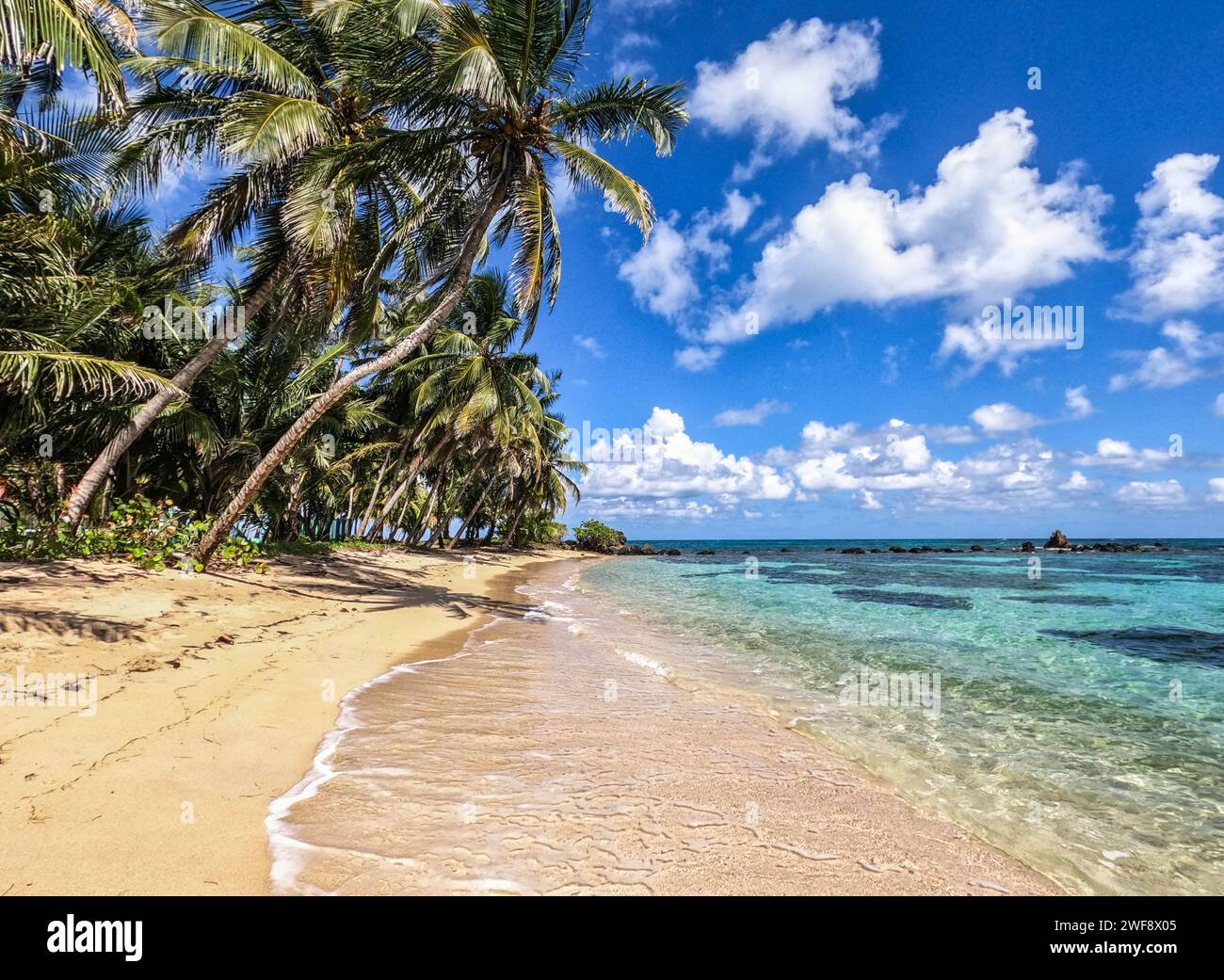 Karibisches Paradies, Little Corn Island, Nicaragua Stockfoto