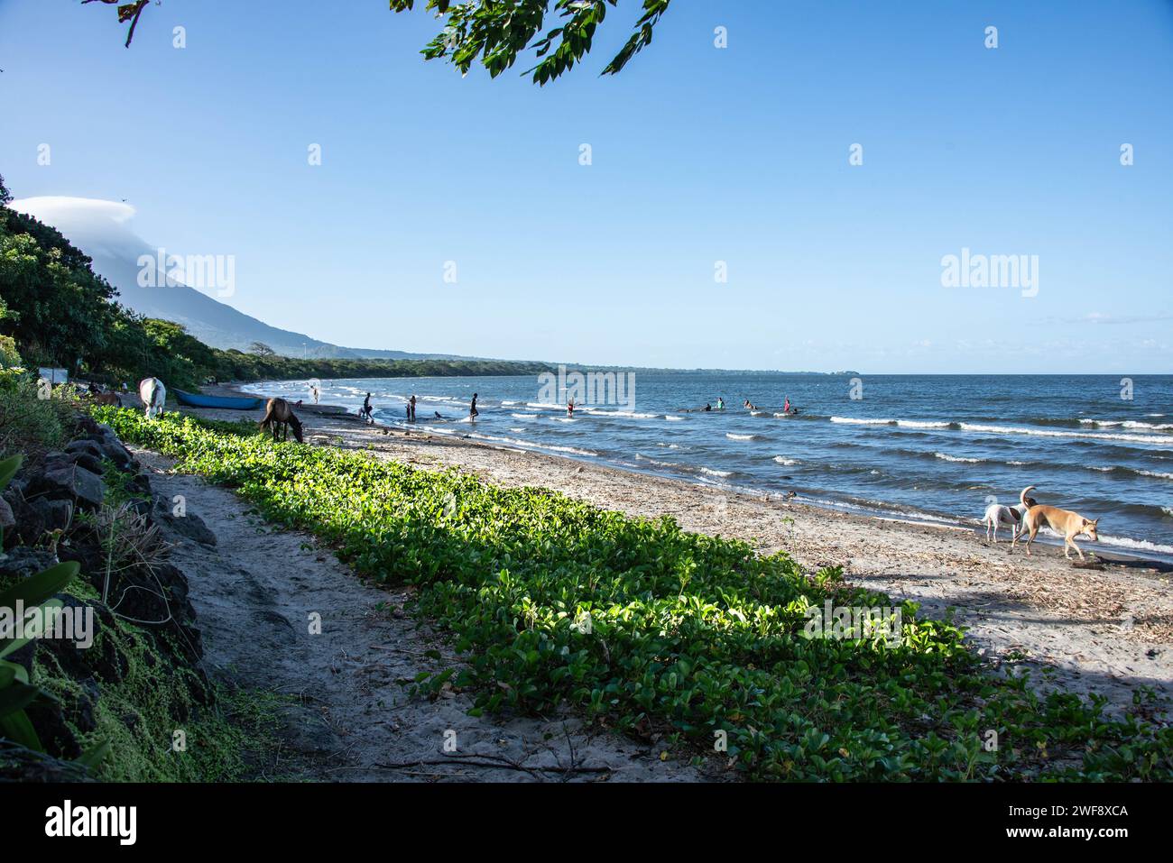 Windgepeitschter Strand unter dem Vulkan Concepcion, Insel Ometepe, Nicaragua Stockfoto