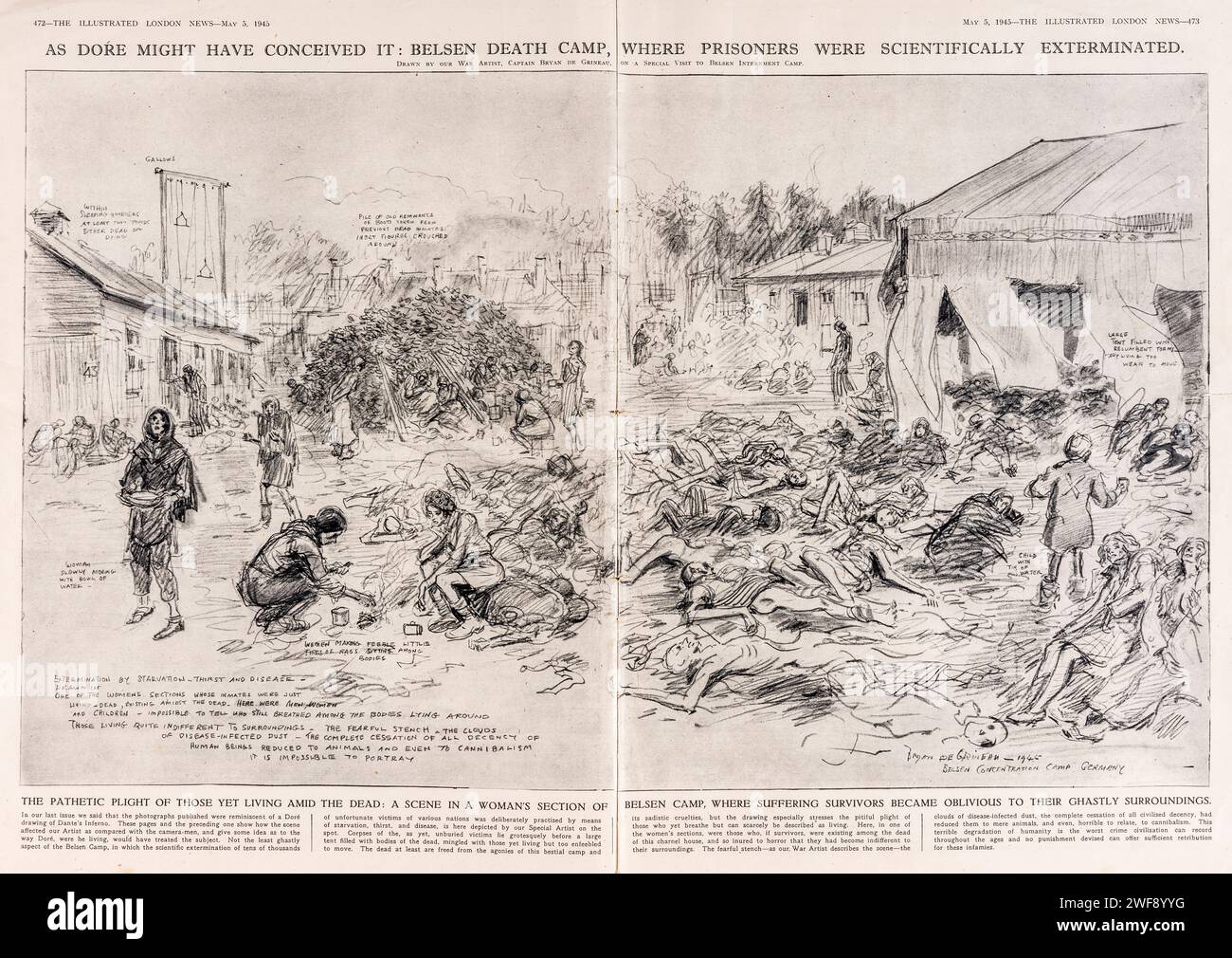 Eine Zeichnung von Bryan de Grineau, die den Horror des Konzentrationslagers Bergen-Belsen nach seiner Befreiung durch die alliierten Streitkräfte im Jahr 1945 zeigt. De Grineau war als Kriegskünstler bei der Illustrated London News angestellt, wo dieses Bild veröffentlicht wurde Stockfoto