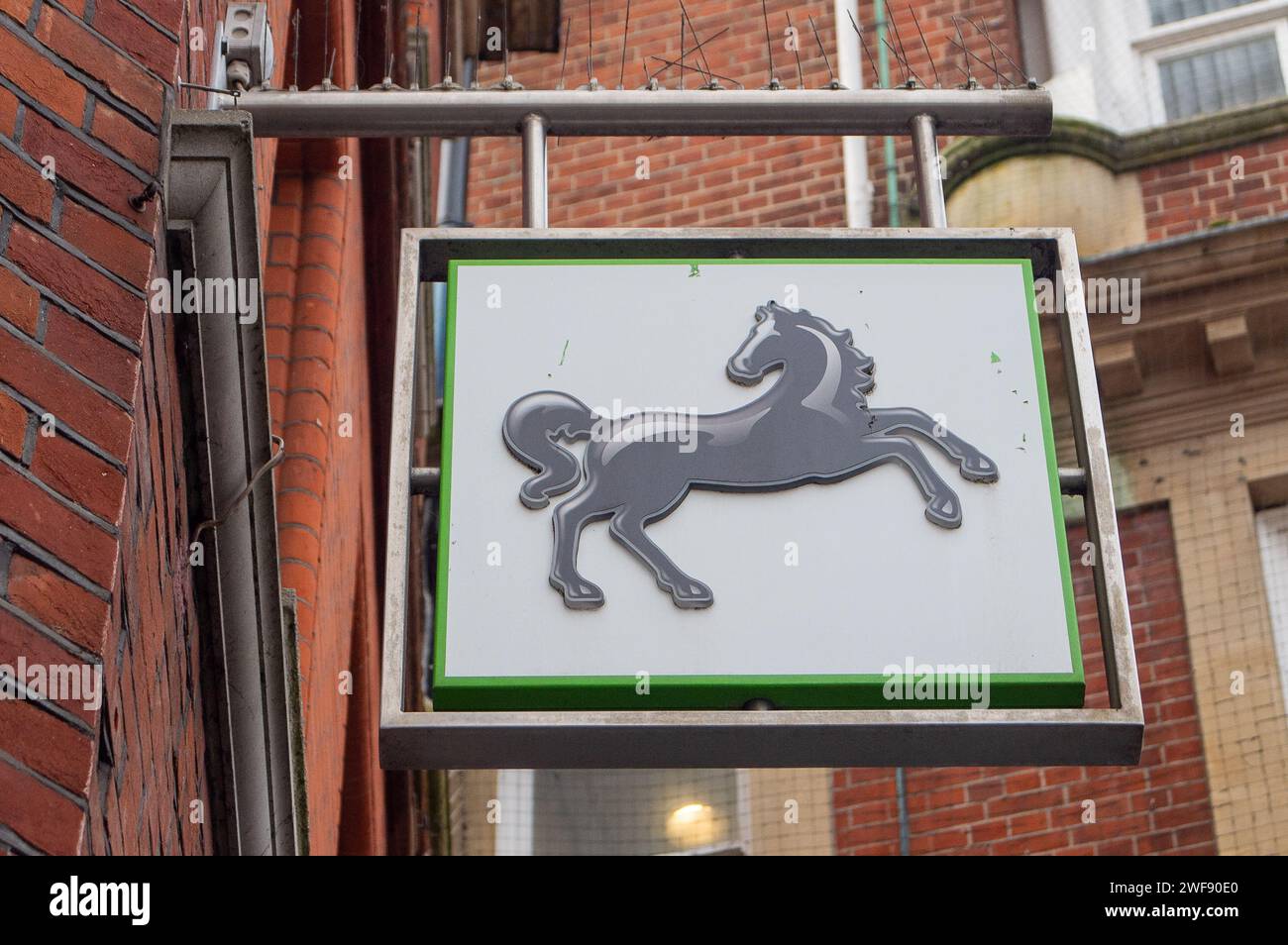 Maidenhead, Berkshire, Großbritannien. Januar 2024. Eine Filiale der Lloyds Bank in Maidenhead, Berkshire. Die Lloyds Banking Group, Eigentümer der Bank of Scotland und Halifax, soll 1.600 Arbeitsplätze in ihren Filialen abbauen, da mehr Kunden online einkaufen. Das Unternehmen erklärte jedoch, dass die Umstrukturierung 830 Stellen schaffen würde, was einen Rückgang der Zahl der Beschäftigten um insgesamt 769 bedeutet. Quelle: Maureen McLean/Alamy Live News Stockfoto