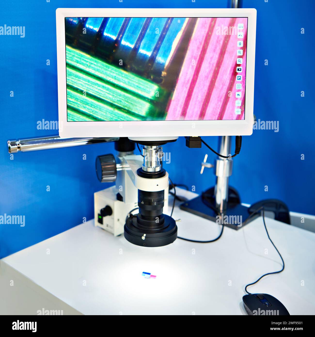Mikroskop-Makroskop mit HD-Camcorder und Monitor Stockfoto