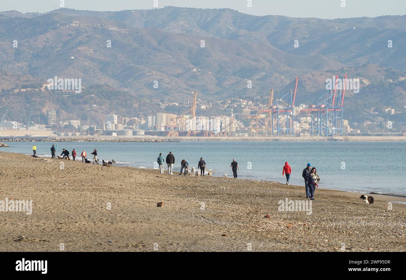 Leute am Strand mit Hunden, Malaga, Spanien. Stockfoto