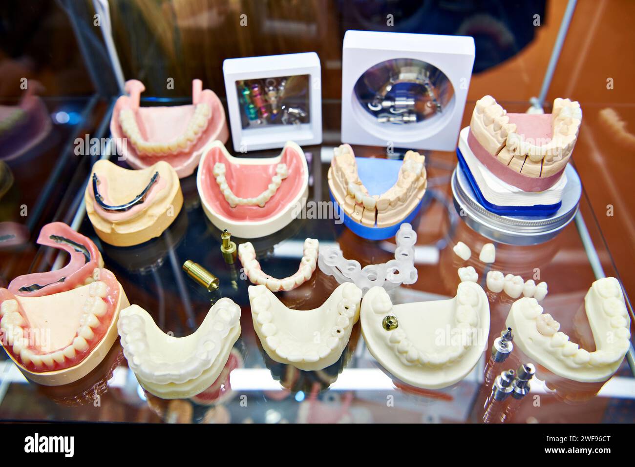 Künstliche Zähne und Kiefer in einer Zahnarztausstellung Stockfoto