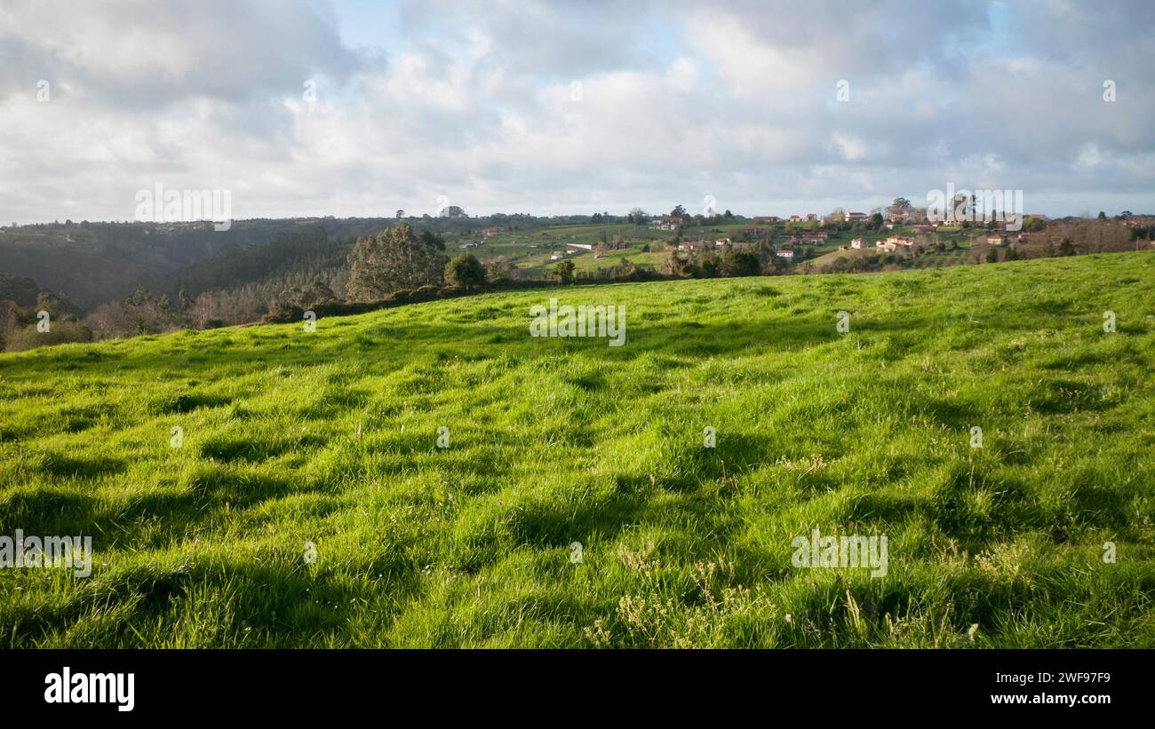 Ländliches Dorf hinter Grashügeln Stockfoto