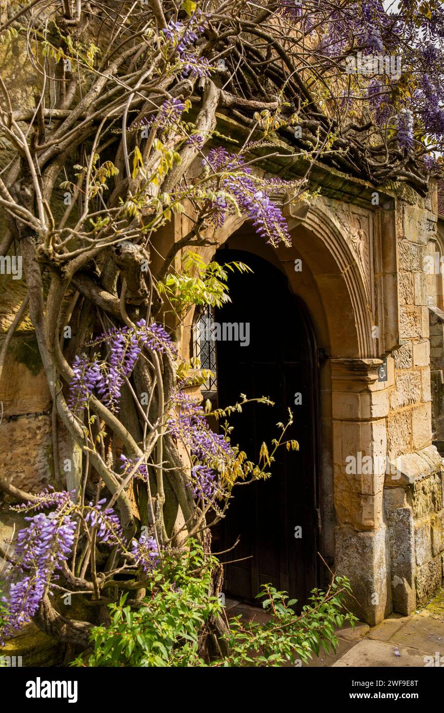 Großbritannien, England Kent, Chiddingstone, St. Mary’s Church, Glyzinien vor der Tür Stockfoto