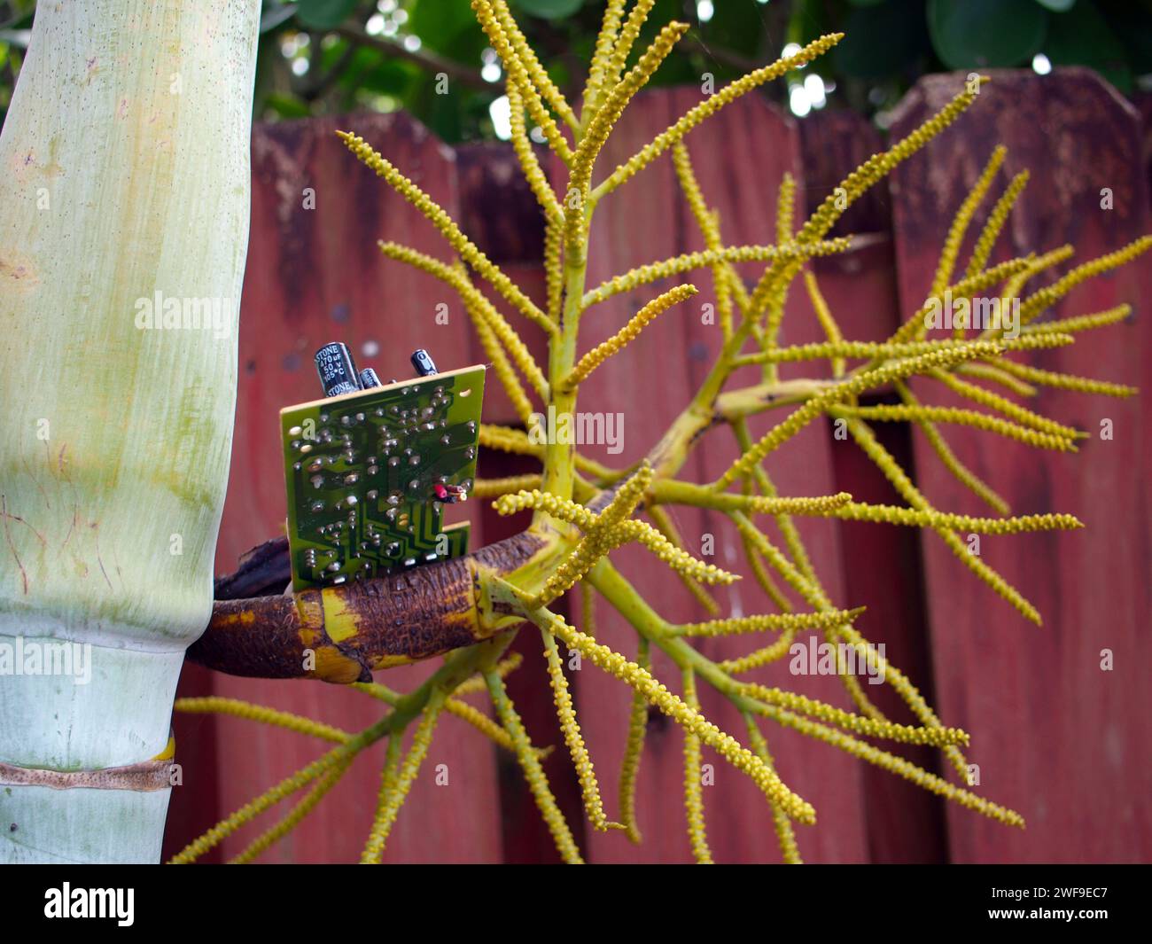 Miami, Florida, USA - 20. Januar 2024: Elektronische Anlage. Ökologie und Technologiekonzepte. Stockfoto