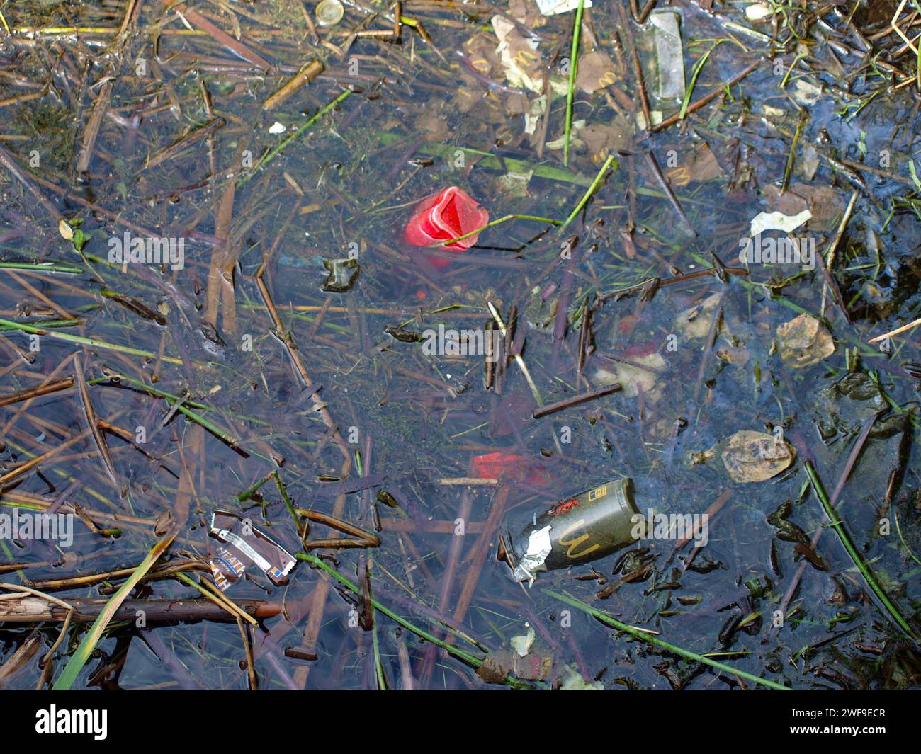 Miami, Florida, USA - 20. Januar 2024: Müll und Kontamination in einem öffentlichen Park. Menschen, die öffentliche Räume verstauen. Stockfoto