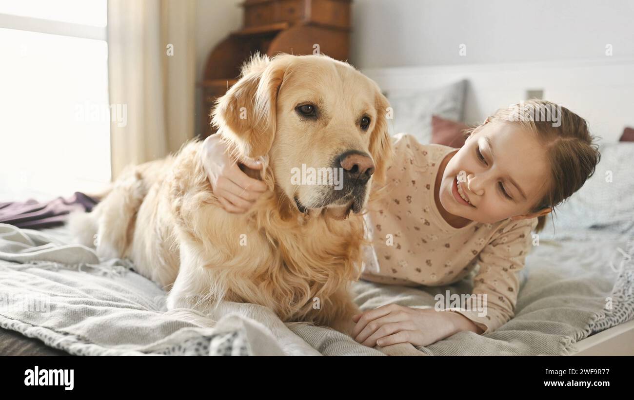 Niedliches Mädchen streichelt goldenen Retriever-Hund, der im Bett liegt und morgens lächelt. Wunderschönes Jungkind mit reinrassigem Haustier-Hund labrador wachen zu Hause auf Stockfoto
