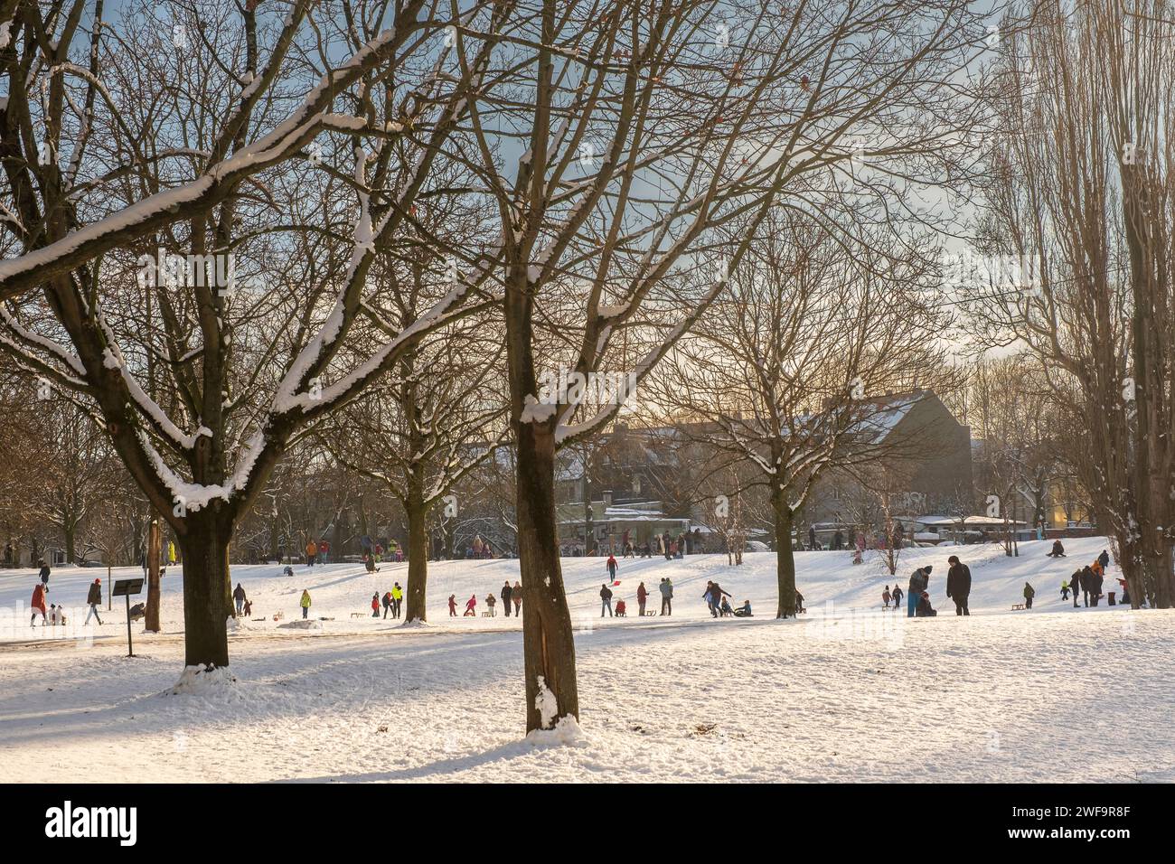 Winterlandschaft im Nippeser Taelchen im Nippeser Stadtteil Köln Stockfoto