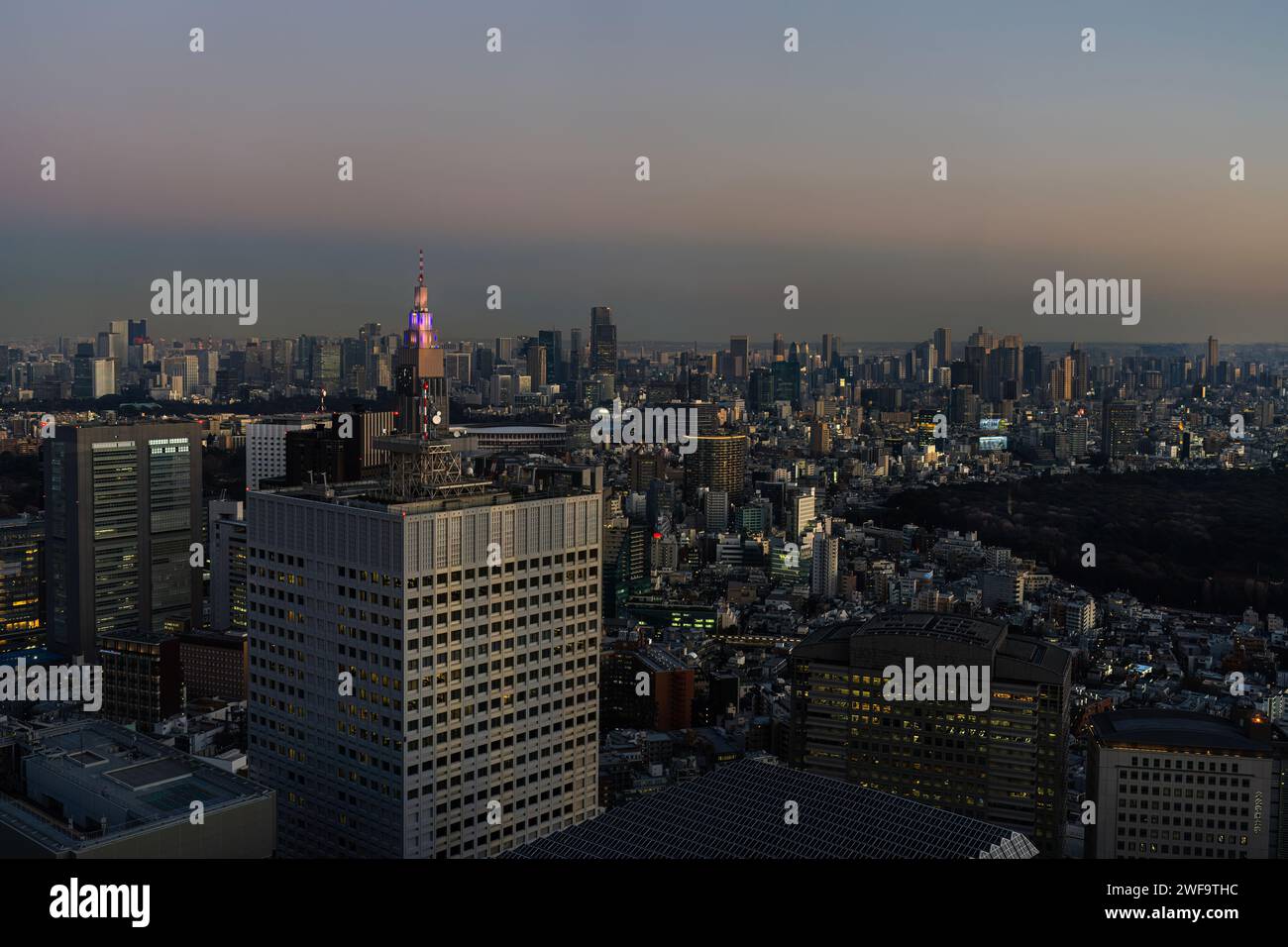 Tokio, Japan. Januar 2024. Panoramablick auf die Stadt bei Sonnenuntergang vom Nordobservatorium des Tokyo Metropolitan Government Building Stockfoto