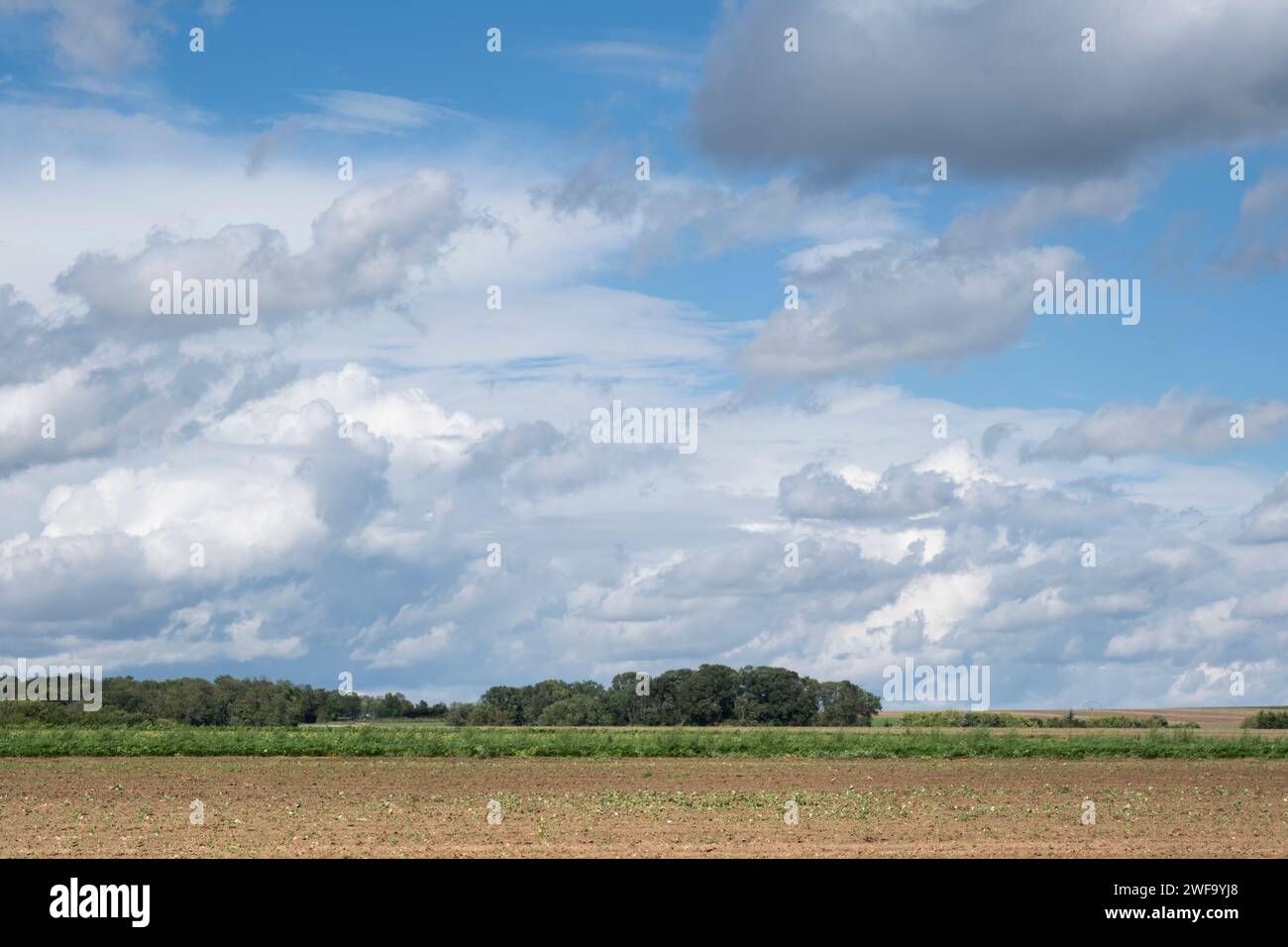 Landschaft rund um den Friedhof in Auvers sur Oise, Frankreich, wo weltberühmte Impressionisten wie Vincent Van Gogh einen Teil seines Lebens verbrachten Stockfoto