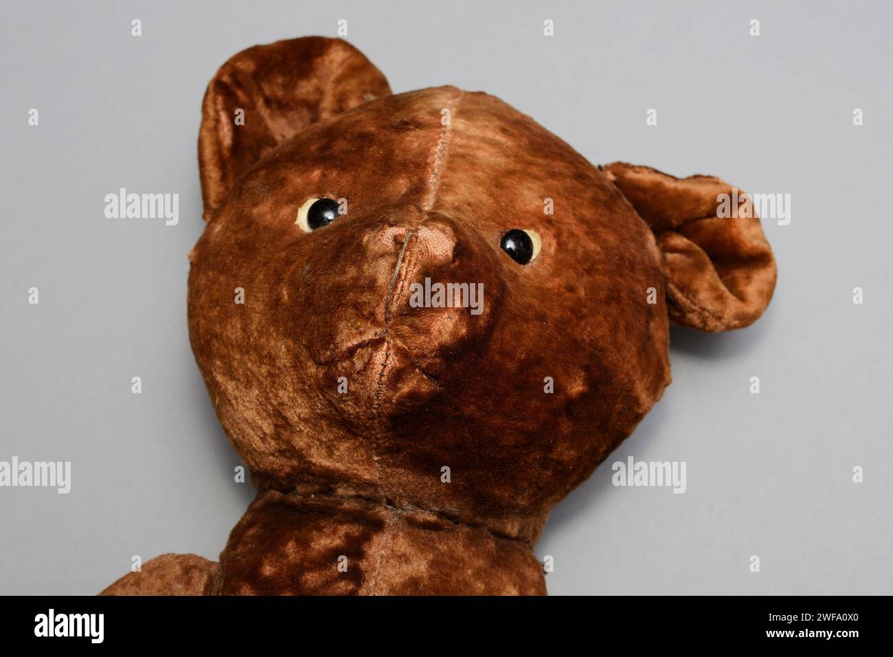Kopf eines alten Spielzeugbären auf neutralem Hintergrund Stockfoto
