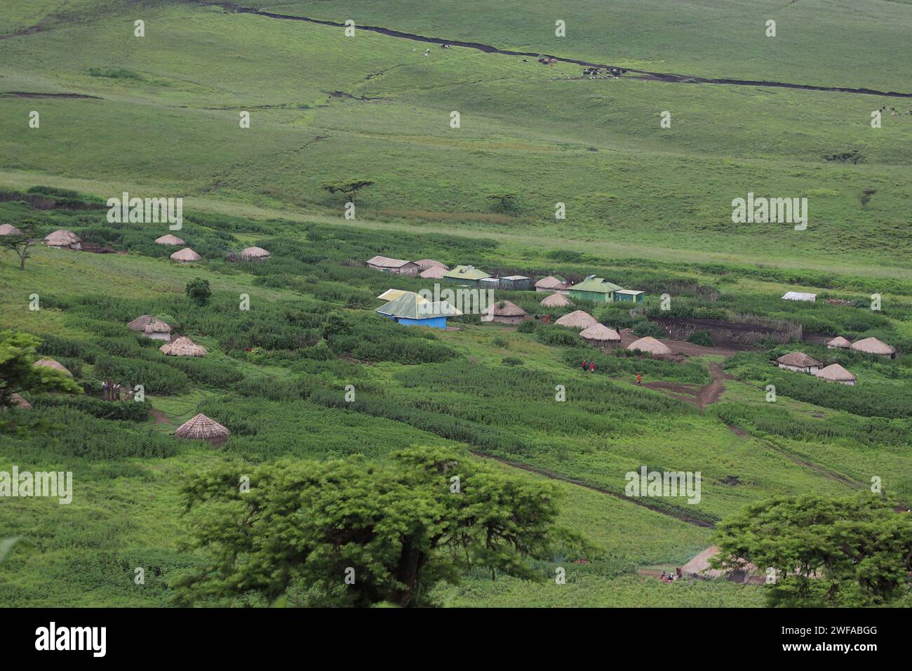 Arusha. Januar 2024. Dieses Foto, aufgenommen am 29. Januar 2024, zeigt Residenzen des Maasai-Stammes in der Ngorongoro Conservation Area, Arusha, Tansania. Quelle: Hua Hongli/Xinhua/Alamy Live News Stockfoto