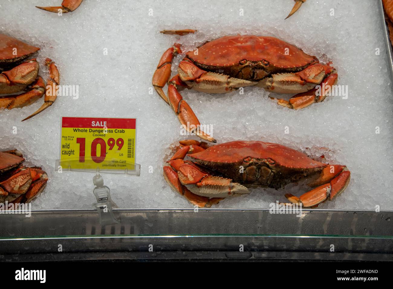 Palmer, Alaska. Wild fing die ganze dungeness Krabbe, die in einem Fred Meyer Supermarkt verkauft wird, ein U-Boot von Kroger. Die Einzelhandelskette verkauft Lebensmittel, Bekleidung Stockfoto