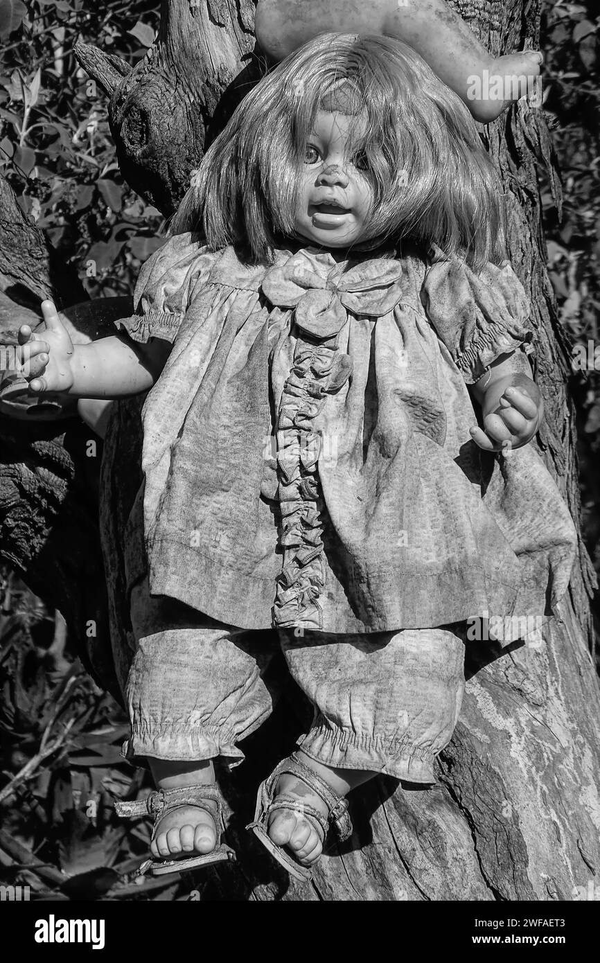 Gruselige Puppe Stockfoto