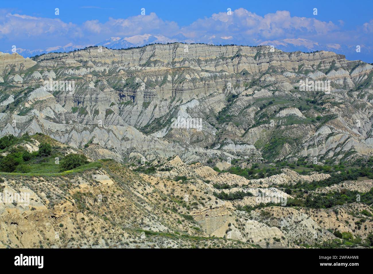 Vashlovani-Nationalpark, Georgien, Asien Stockfoto