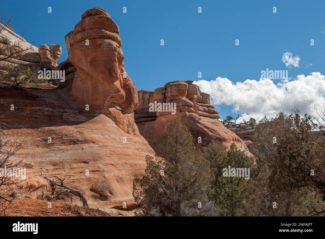 Entrada Sandsteinklippen und Hoodoos entlang des Devil's Canyon Trail in der McInnis Canyons National Conservation Area in der Nähe von Fruita, Colorado Stockfoto