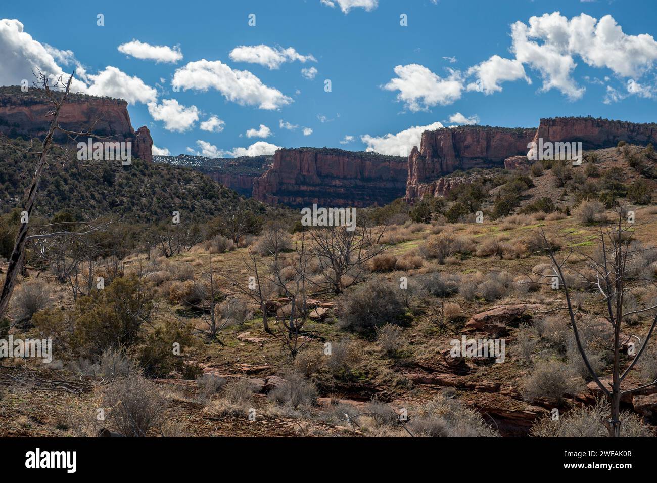 Die Mündung des Devil's Canyon in der McInnis Canyons National Conservation Area in der Nähe von Fruita, Colorado Stockfoto