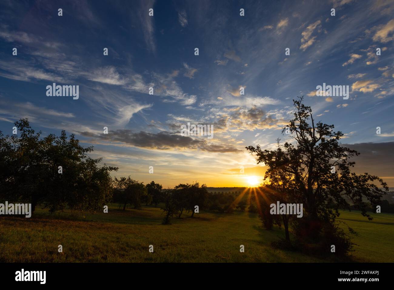 Sonnenaufgang Obstwiesen Stockfoto