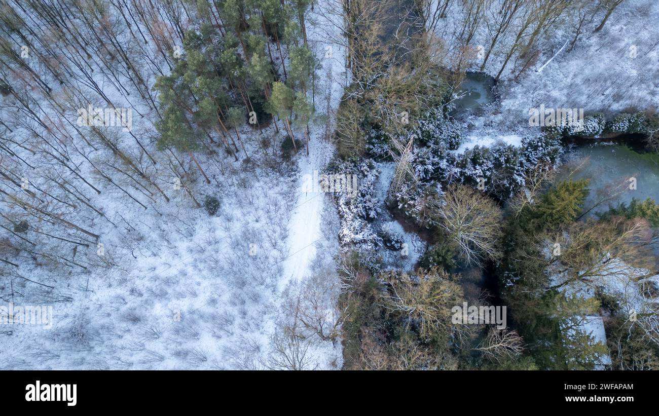Dieses Bild zeigt eine atemberaubende Luftperspektive eines mäandernden Baches, der durch eine winterliche Waldlandschaft schneidet. Der Fluss, der teilweise durch die überhängenden mattierten Äste verdeckt ist, fungiert als dynamische Leitlinie. Es steht im Kontrast zu den umliegenden schneebedeckten Bäumen und dem frostigen Unterholz. Die unterschiedlichen Grüntöne der Evergreens sorgen für einen Farbakzent in der monochromatischen Winteratmosphäre. Winterstrom von oben. Hochwertige Fotos Stockfoto
