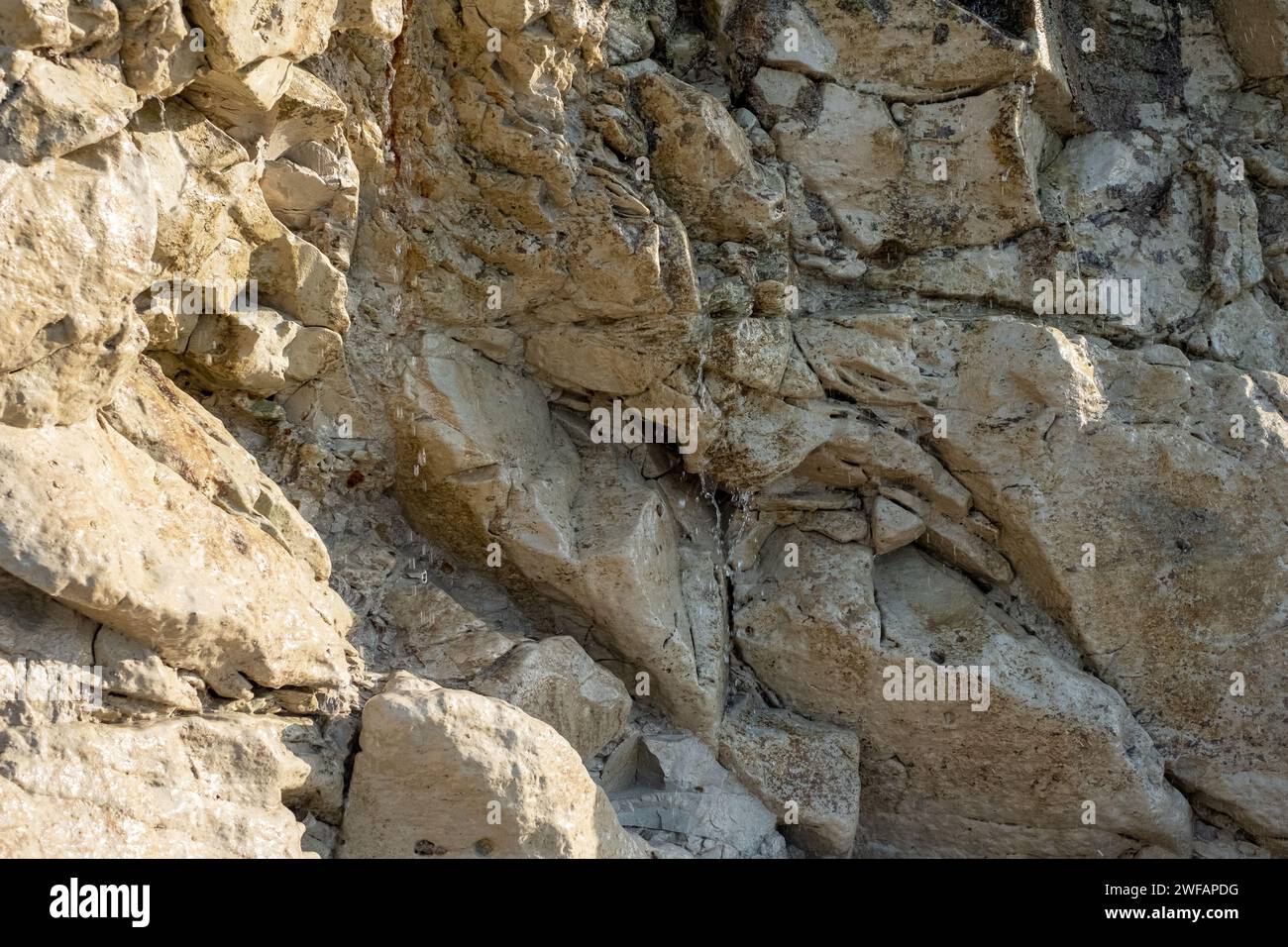 Das Bild ist eine Nahaufnahme einer Klippe, die die komplexen geologischen Formationen und das Zusammenspiel verschiedener Gesteinsarten zeigt. Jede Schicht erzählt eine andere Geschichte der alten Geschichte der Klippe, mit Sedimentationsmustern, Erosionsprozessen und Mineralablagerungen. Die Textur ist detailreich, mit scharfen Kontrasten zwischen den rauen, zerklüfteten Kanten und den glatteren Oberflächen, was ein Gefühl des Charakters der Klippe vermittelt. Das Foto dient als lehrreicher Einblick in die Naturgeschichte, die in die Erdkruste eingeätzt ist. Geologische Wandteppiche: Die Erzählung der Klippen. Hohe Qualität Stockfoto