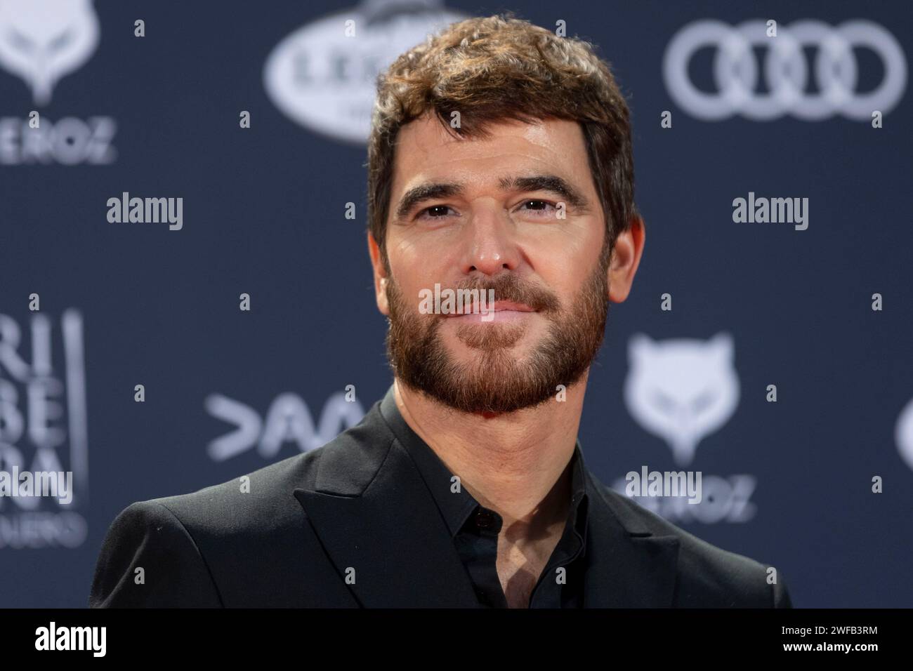 Madrid, Spanien. Januar 2024. Alfonso Bassave besuchte den roten Teppich der Feroz Awards 2024 in der Palacio Vistalegre Arena in Madrid. Quelle: SOPA Images Limited/Alamy Live News Stockfoto