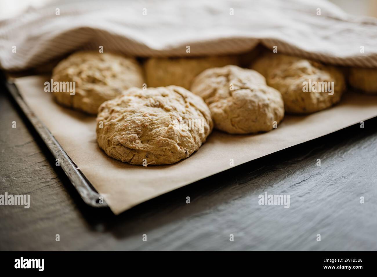 Brot zu Hause backen und den Teig gehen lassen. Brötchen auf Backblech, bedeckt mit einem Küchentuch, bereit zum Backen im Ofen. Stockfoto